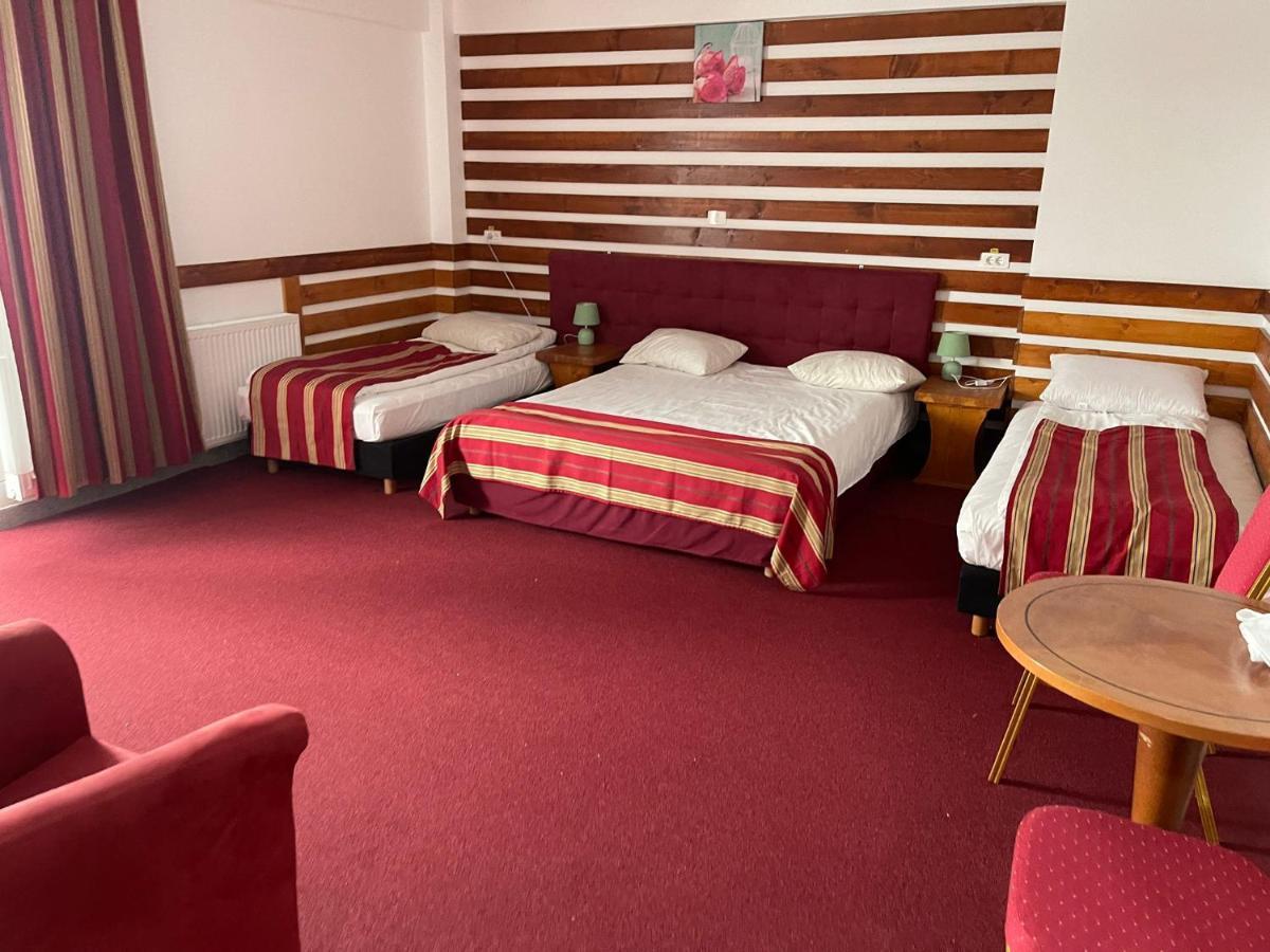 Hotel Sura Getilor Arinis 3*